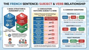 La phrase en français I Sujet & Verbe