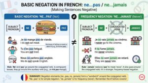 La négation basique en français