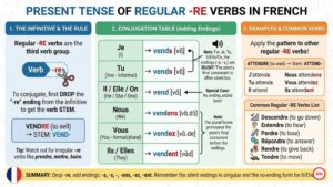Le Présent des verbes réguliers en RE en français